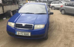 Skoda Fabia 1.4 (75Hp) (AUA) FWD MT в разборе у ООО Ганс